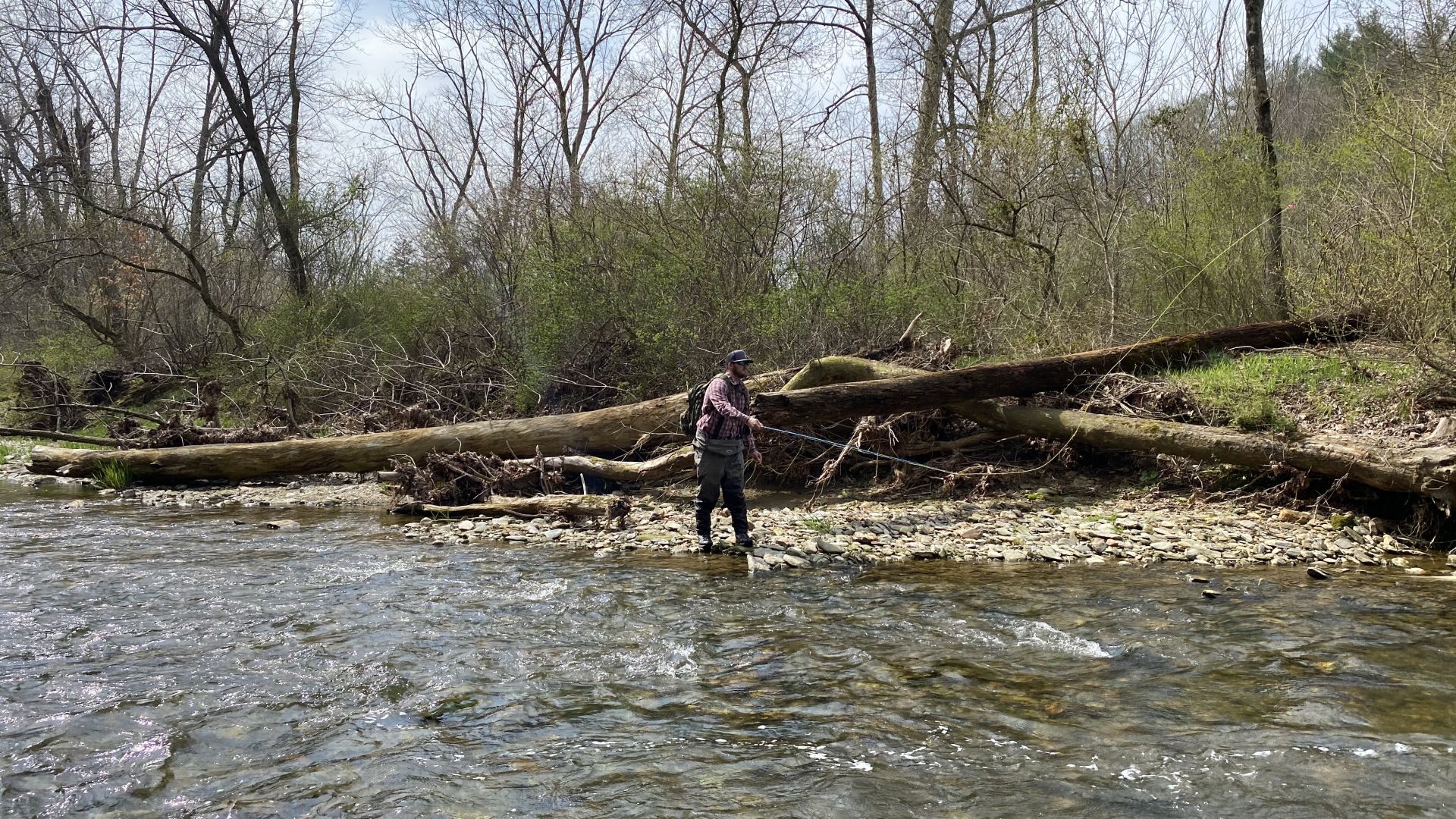 Angler Fishes Octoraro Creek 2